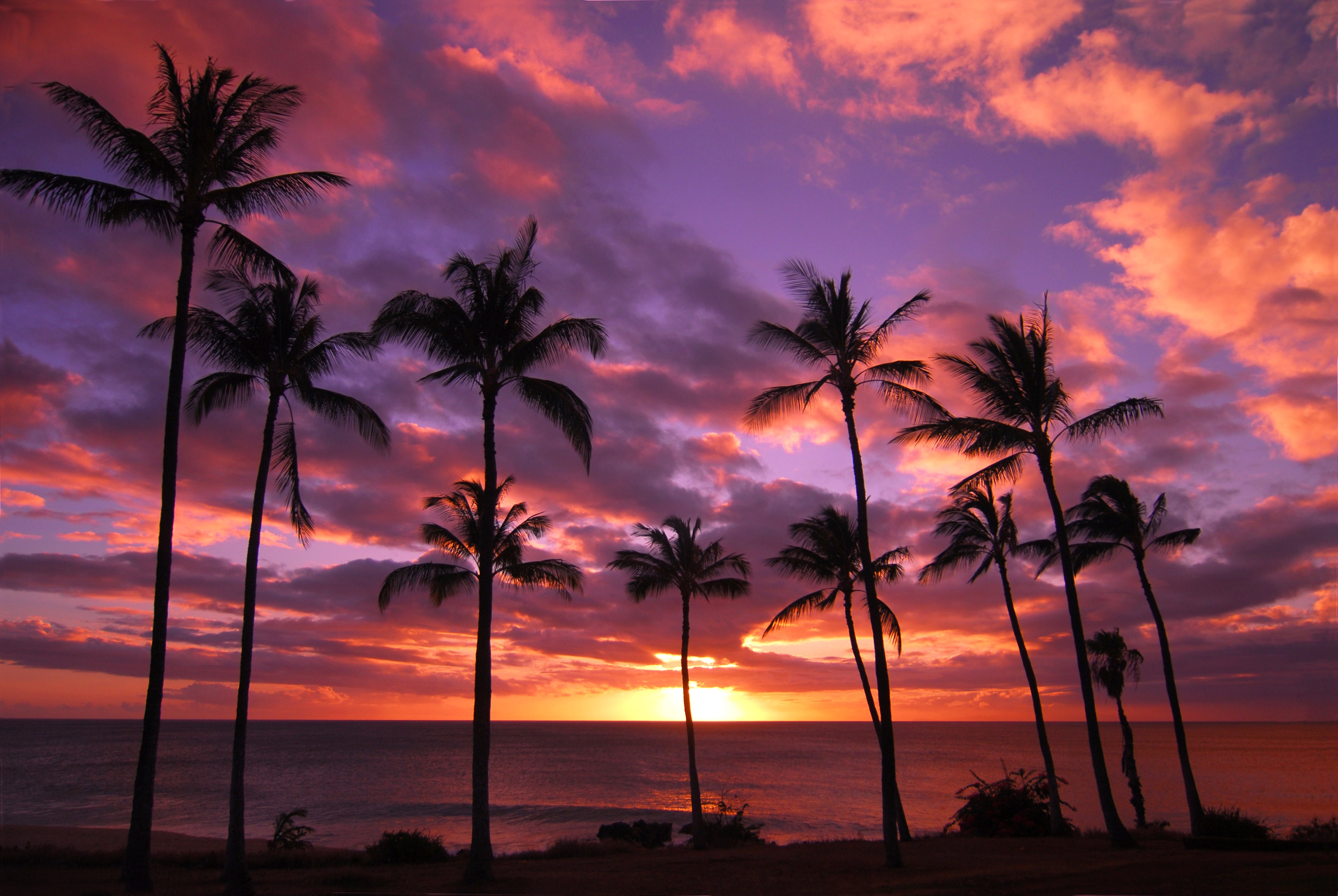 Stunning Hawaiian sunset with purple, pink, peach, yellow and orange colors. Inspiration for SurferGrl Studio.